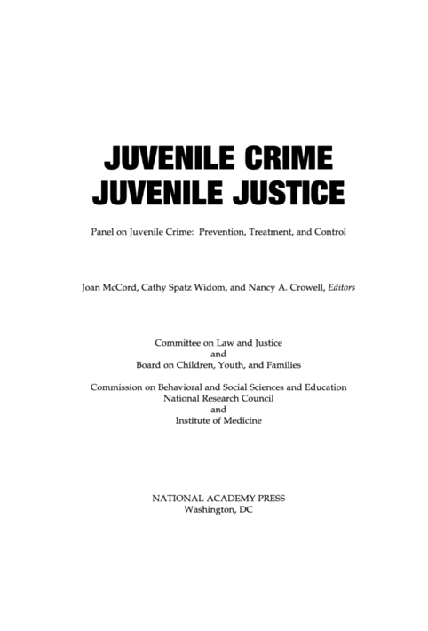 social crime prevention essay